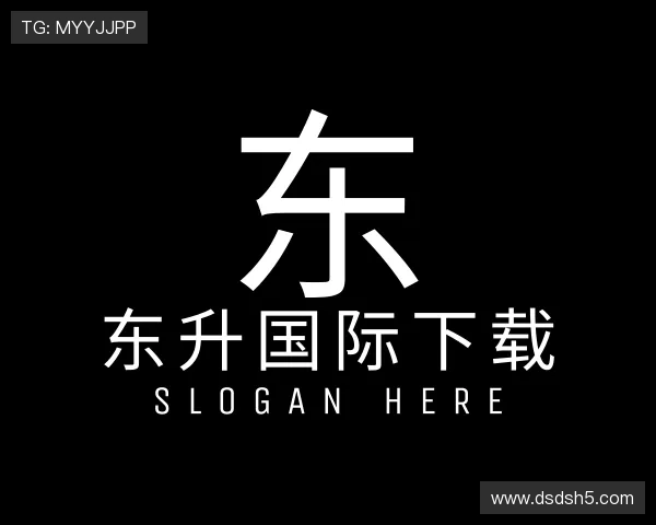 解读东升国际下载